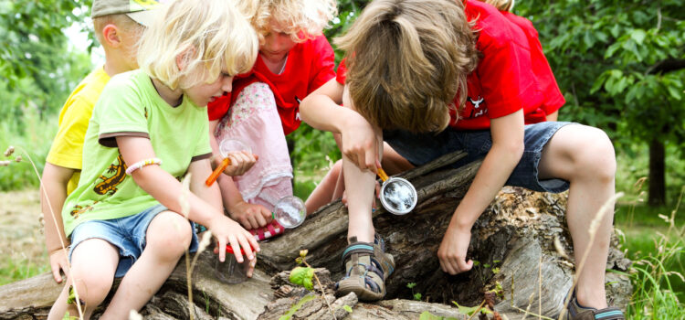 Biedensand-Waldforscher für Kids ab 5 bis 9 Jahren